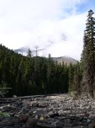 Newton Creek Oct 16 2005 061 